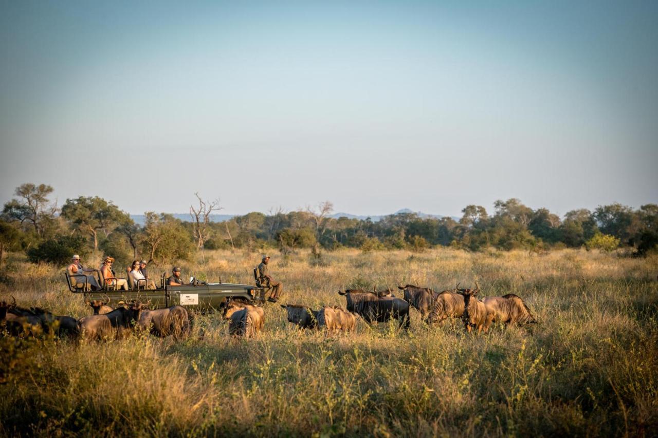 Umkumbe Bush Lodge - Luxury Tented Camp Резерват Саби Сенд Гейм Екстериор снимка